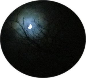 eclipse april 14 2015 edited and cropped