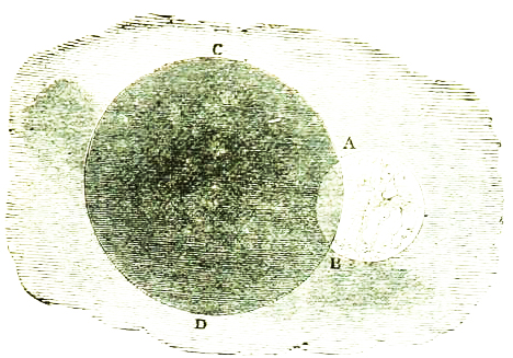 Kasi edited via BL.jpg